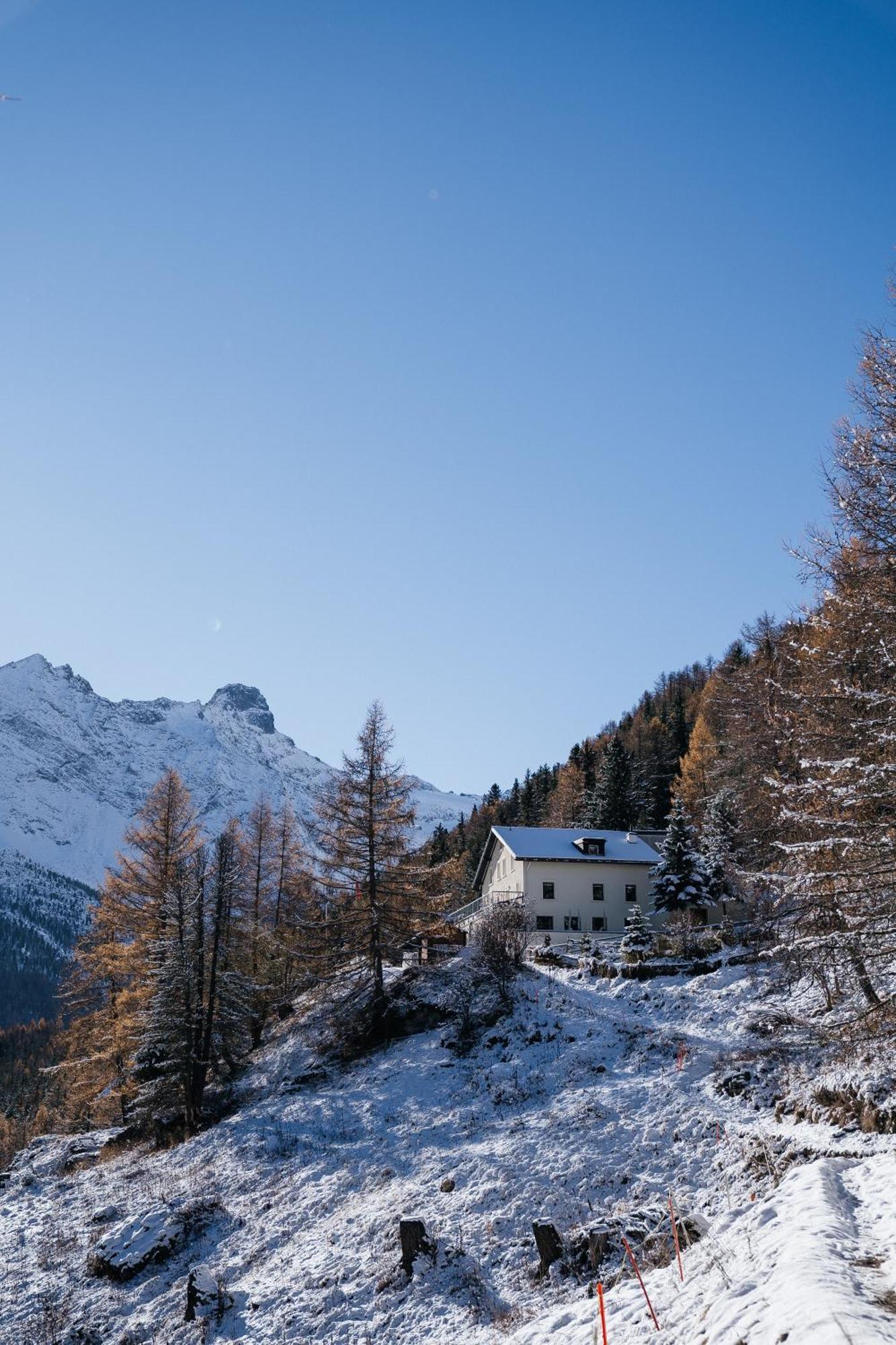 Waldhotel Fletschhorn Panoramic Retreat In Saas Fee Eksteriør bilde